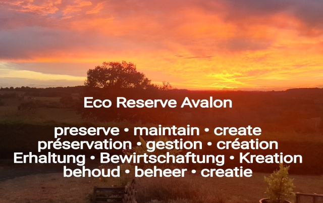 Eco Reserve Avalon