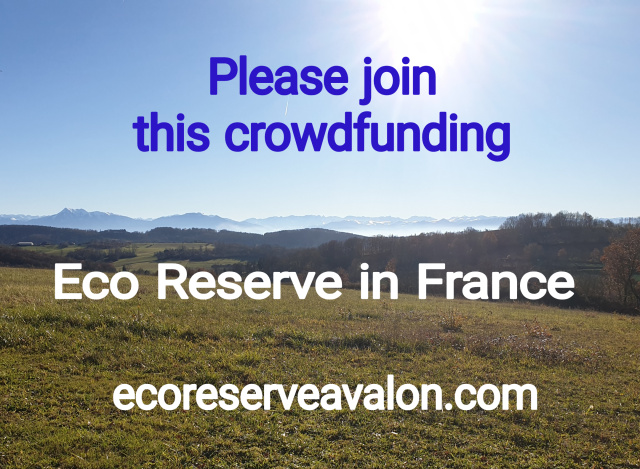 Support Eco Reserve Avalon France 2